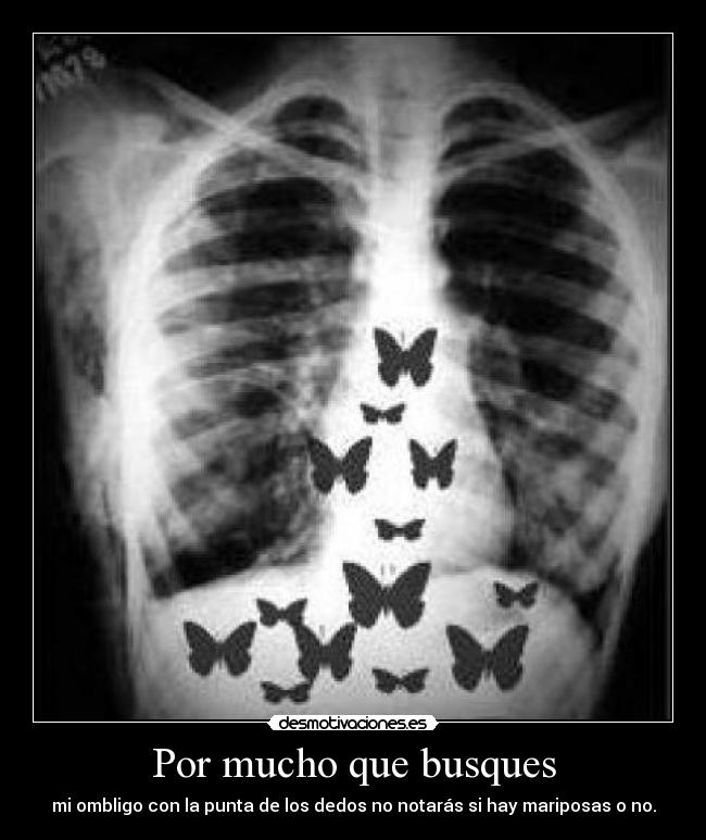 Por mucho que busques - mi ombligo con la punta de los dedos no notarás si hay mariposas o no.