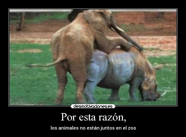 carteles intruders viva joseba nearte desmotivaciones