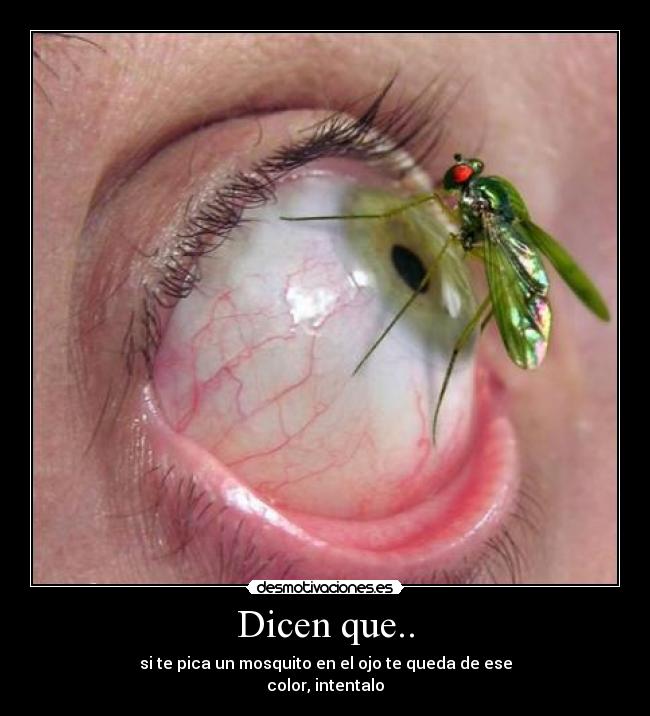 Dicen que.. - 