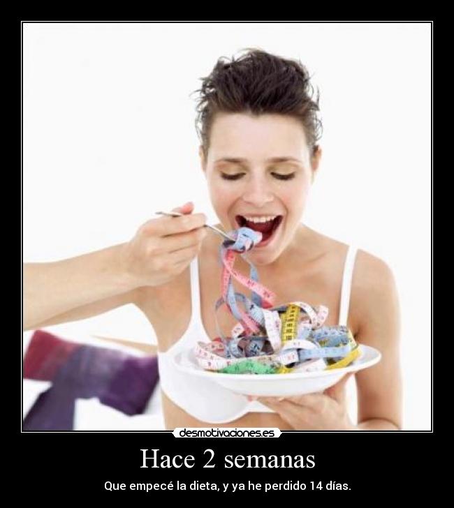 carteles dieta semana dias humor dulces desmotivaciones