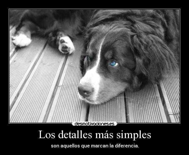 Los detalles más simples -