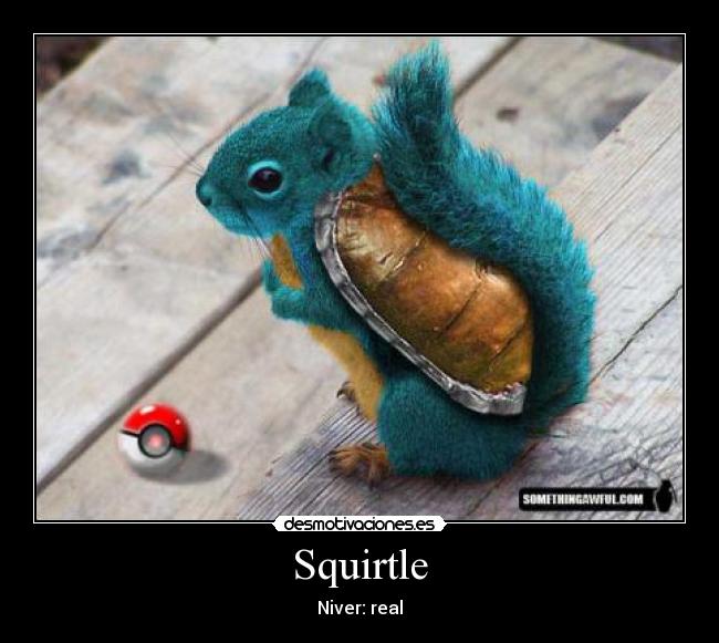 Squirtle -