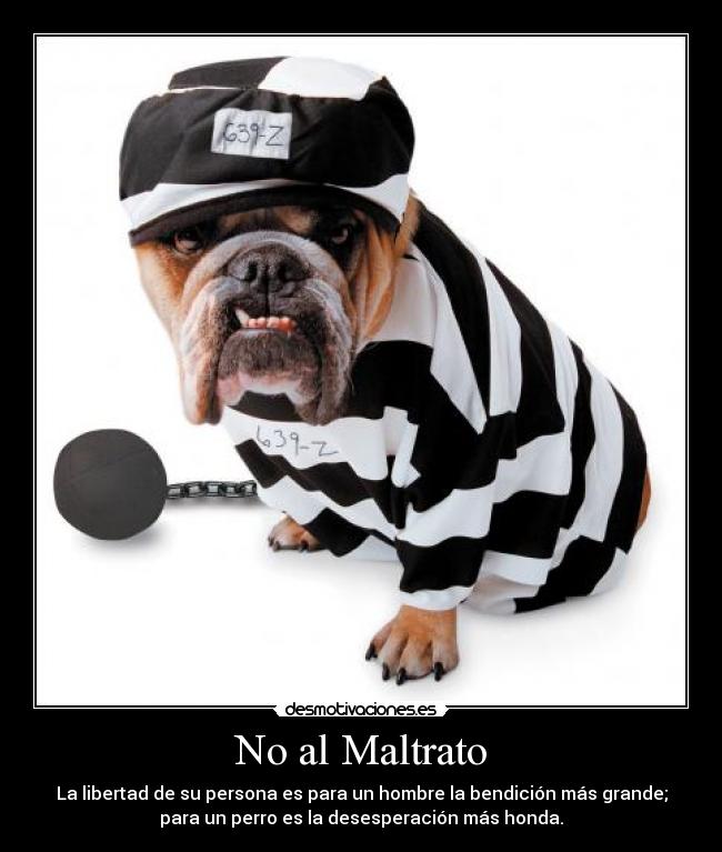 No al Maltrato - La libertad de su persona es para un hombre la bendición más grande;
para un perro es la desesperación más honda.