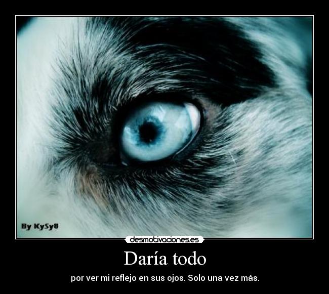 Daría todo - 