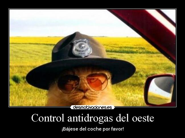 Control antidrogas del oeste - ¡Bájese del coche por favor!