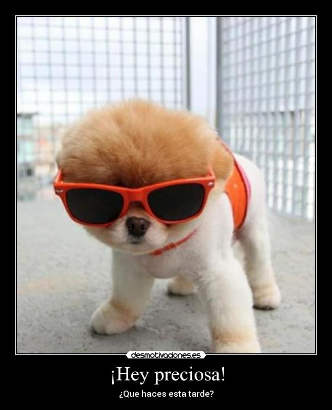¡Hey preciosa! - ¿Que haces esta tarde?