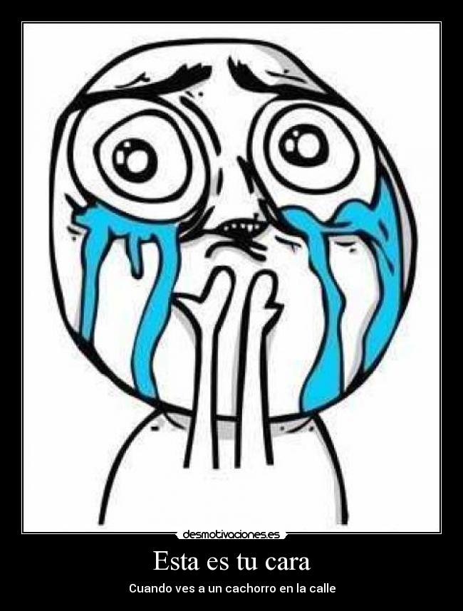 Esta es tu cara - Cuando ves a un cachorro en la calle