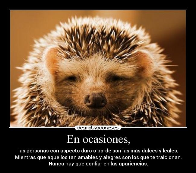 En ocasiones, - las personas con aspecto duro o borde son las más dulces y leales.
Mientras que aquellos tan amables y alegres son los que te traicionan.
Nunca hay que confiar en las apariencias.