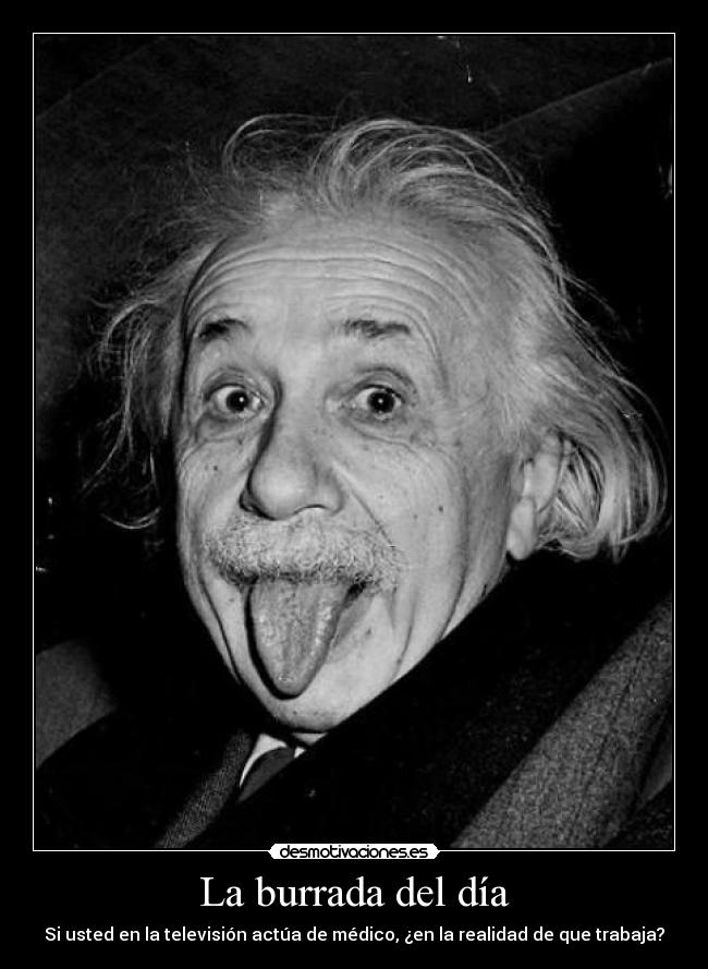 La burrada del día -