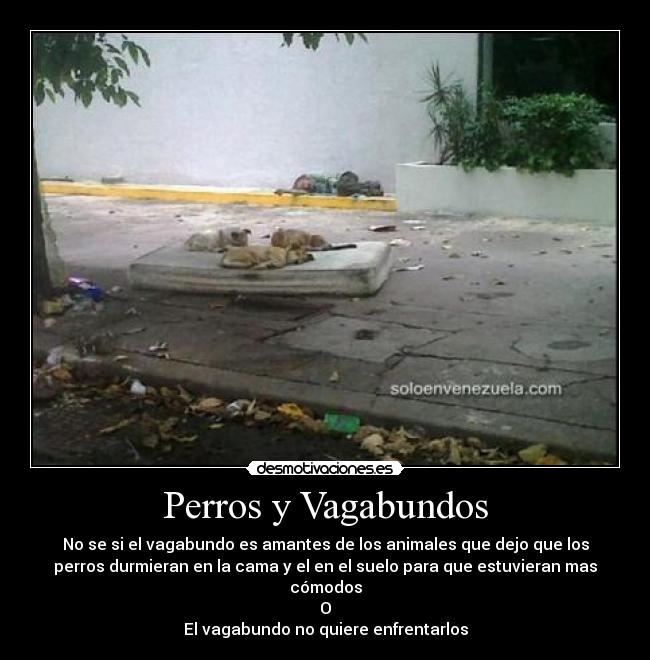 Perros y Vagabundos - 