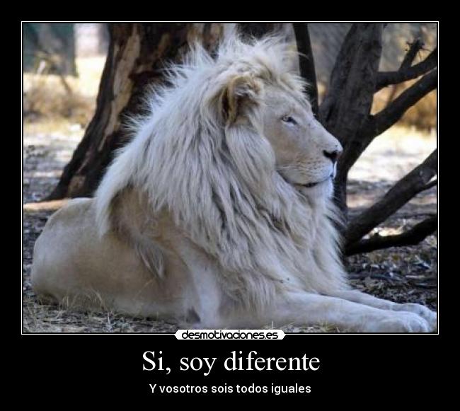 Si, soy diferente - Y vosotros sois todos iguales