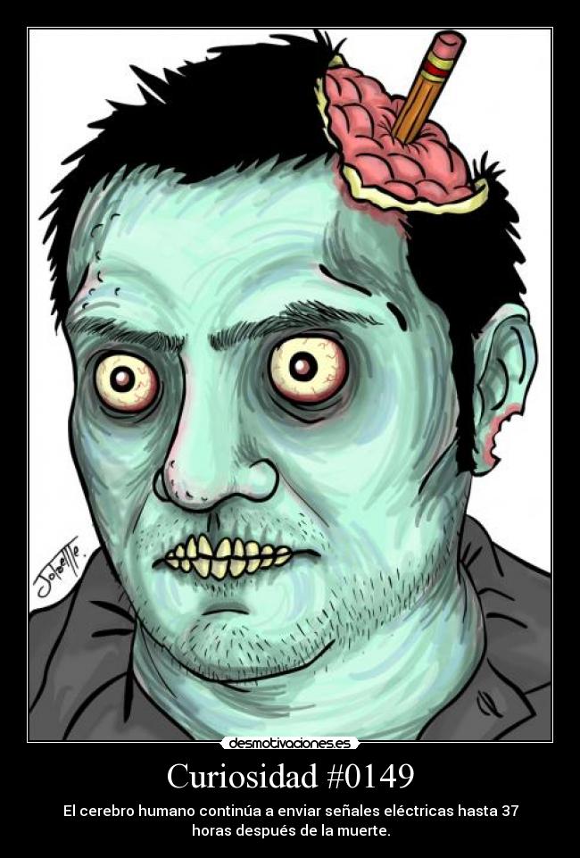 Curiosidad #0149 - 