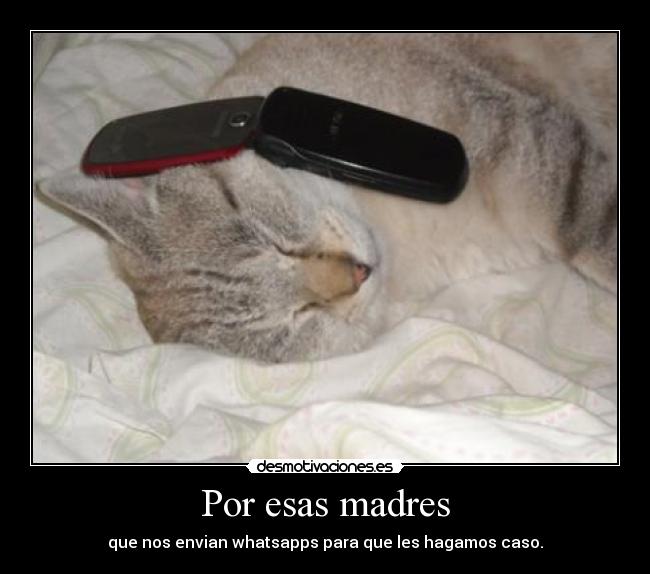 Por esas madres - 