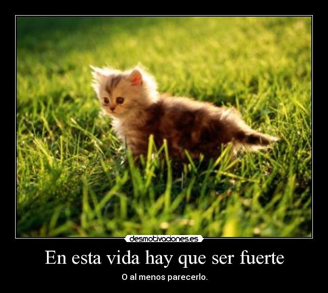 En esta vida hay que ser fuerte -