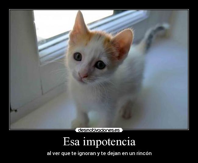 Esa impotencia -