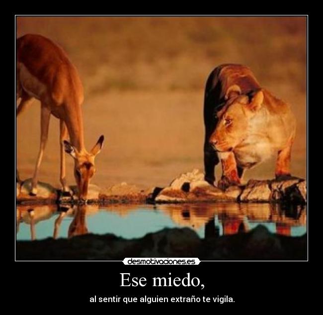 Ese miedo, - al sentir que alguien extraño te vigila.