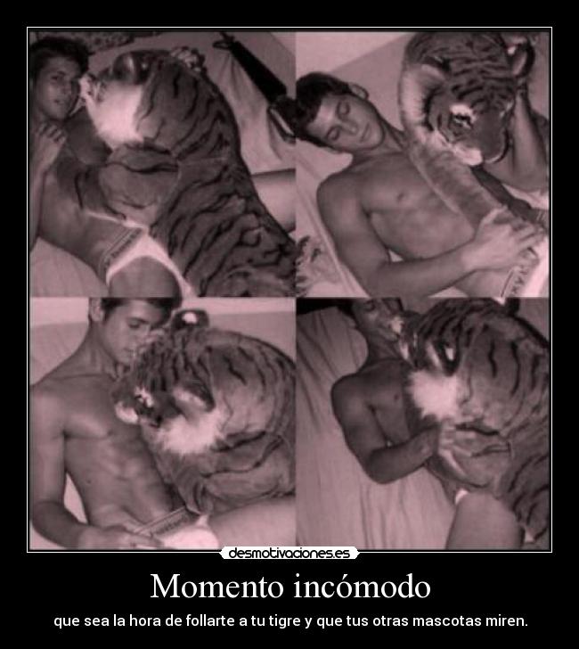 Momento incómodo - que sea la hora de follarte a tu tigre y que tus otras mascotas miren.