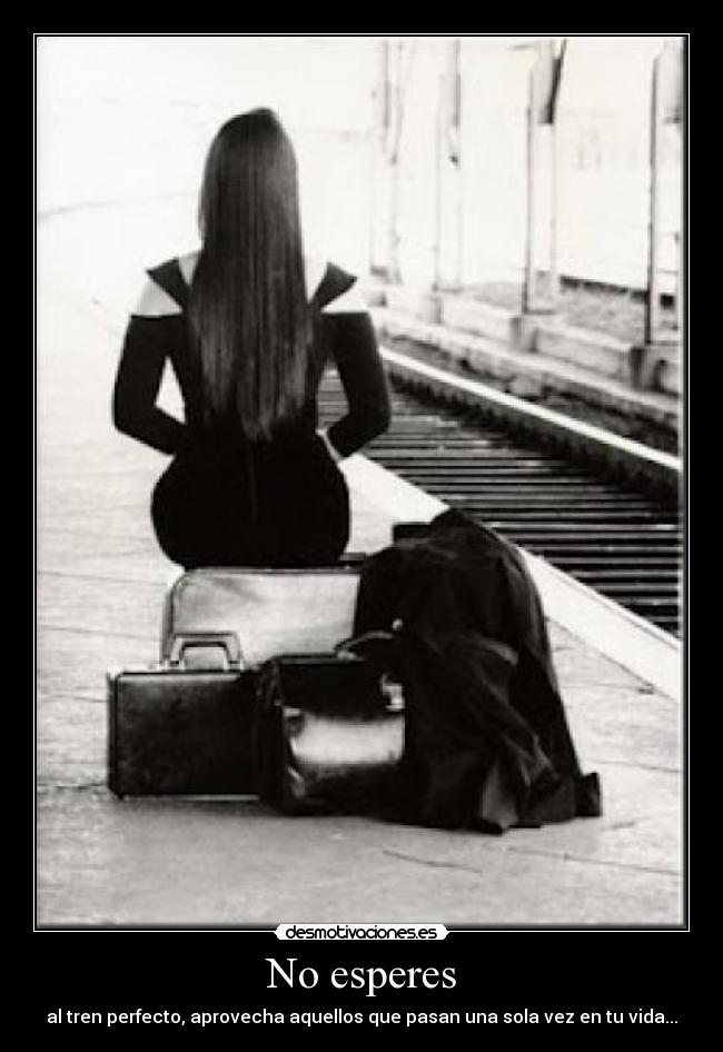 carteles tren desmotivaciones