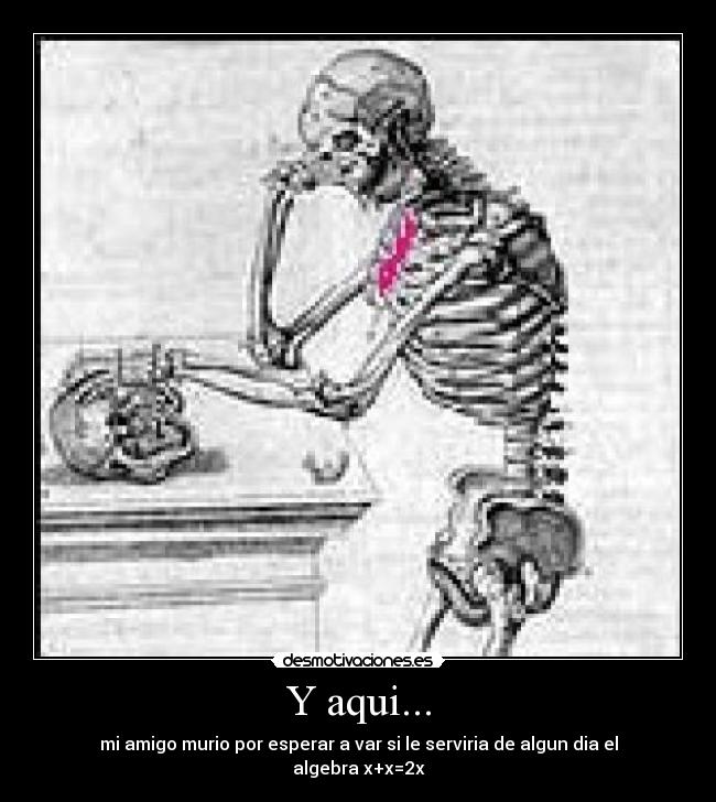 carteles nataaa desmotivaciones