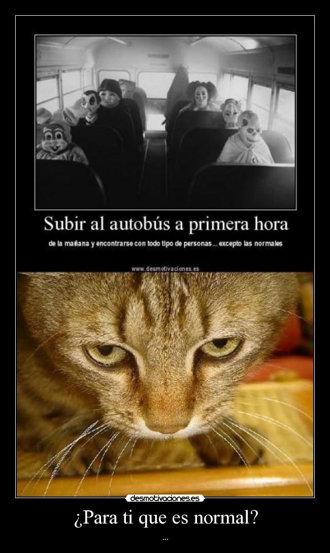 ¿Para ti que es normal? - ...
