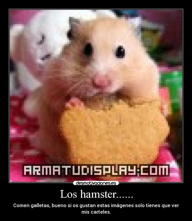 Los hamster...... -