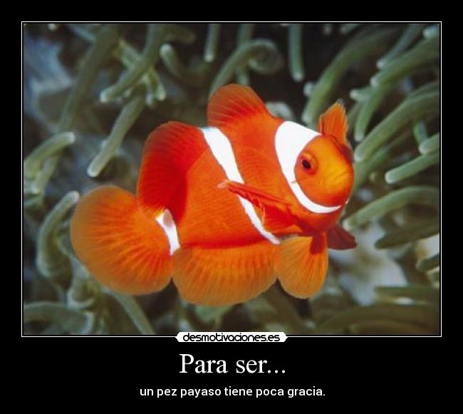 Para ser... - 