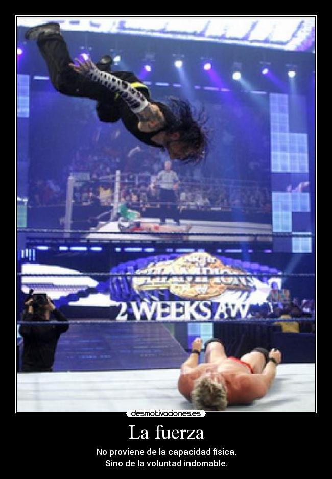 La fuerza - No proviene de la capacidad física.
Sino de la voluntad indomable.