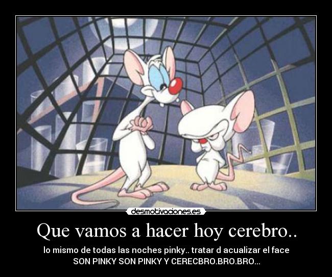 Que vamos a hacer hoy cerebro.. - 