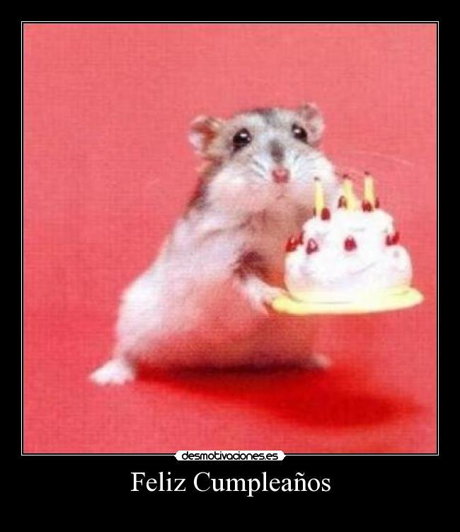 Feliz Cumpleaños - 