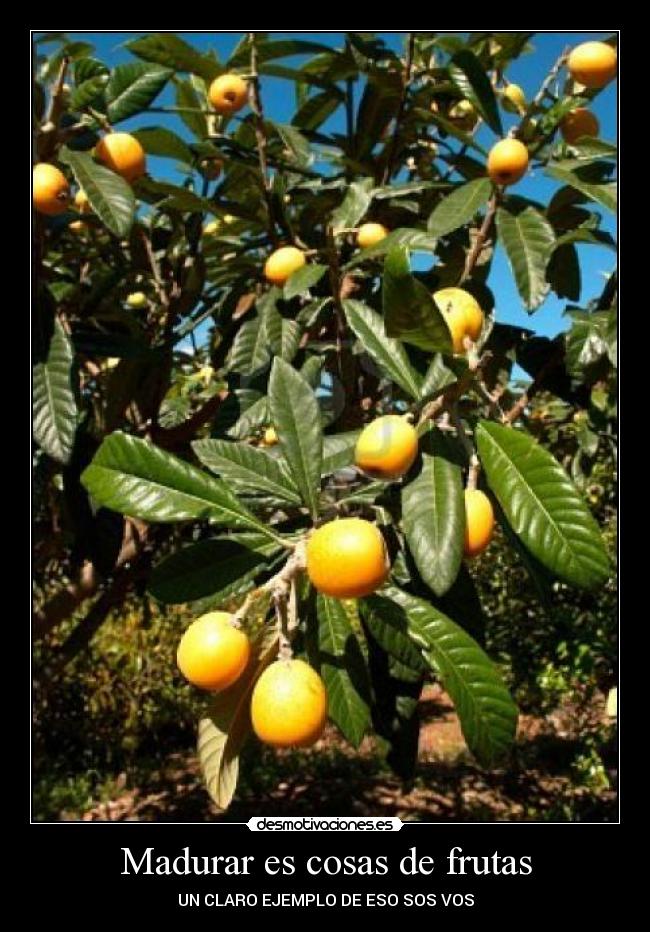 Madurar es cosas de frutas - UN CLARO EJEMPLO DE ESO SOS VOS