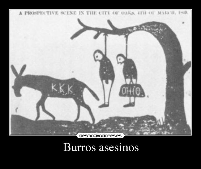 Burros asesinos - 