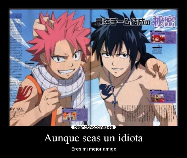 carteles natsu gray amigo idiota fairy tail desmotivaciones