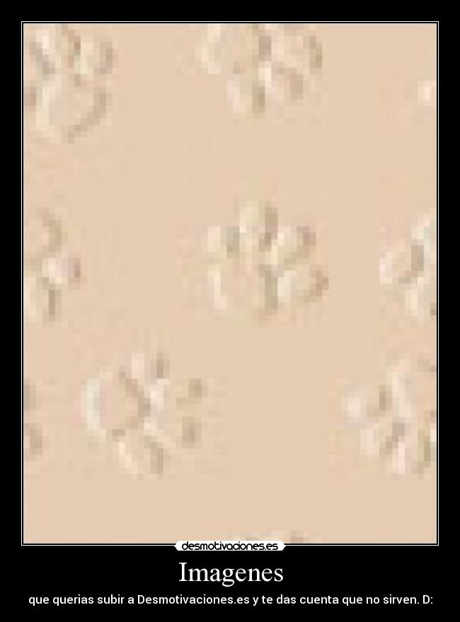 Imagenes - 