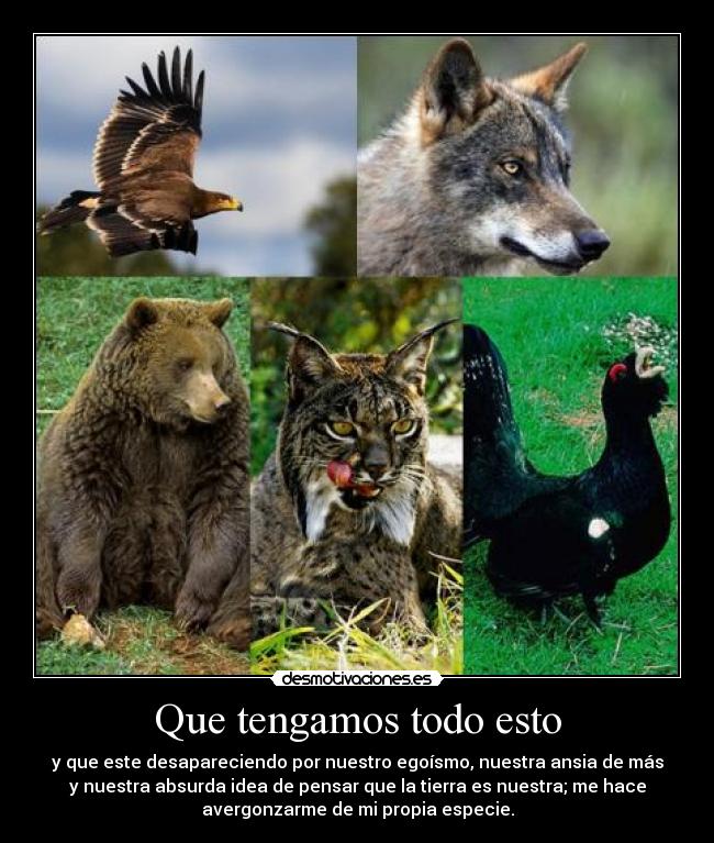 Que tengamos todo esto - y que este desapareciendo por nuestro egoísmo, nuestra ansia de más
y nuestra absurda idea de pensar que la tierra es nuestra; me hace
avergonzarme de mi propia especie.