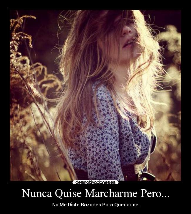 carteles nunca quise hacerlo desmotivaciones