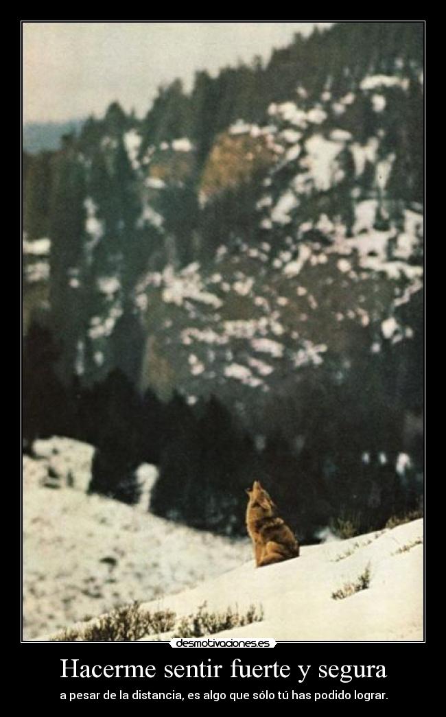 Hacerme sentir fuerte y segura - a pesar de la distancia, es algo que sólo tú has podido lograr.