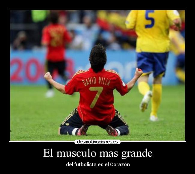 El musculo mas grande - 