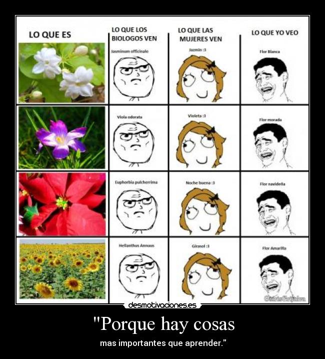 Porque hay cosas - mas importantes que aprender.