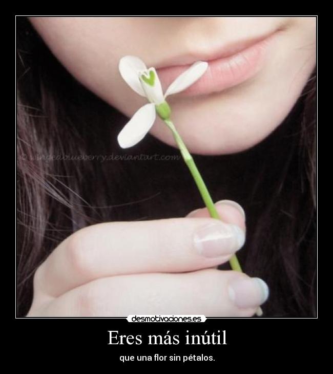 Eres más inútil - que una flor sin pétalos.