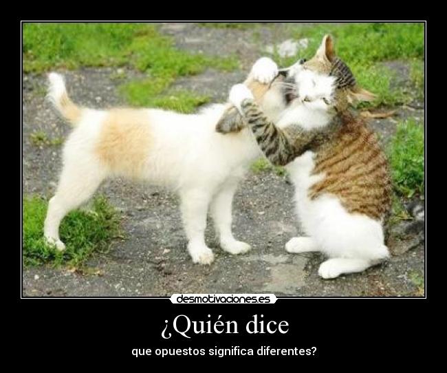 carteles que poner desmotivaciones