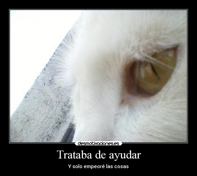 Trataba de ayudar - Y solo empeoré las cosas