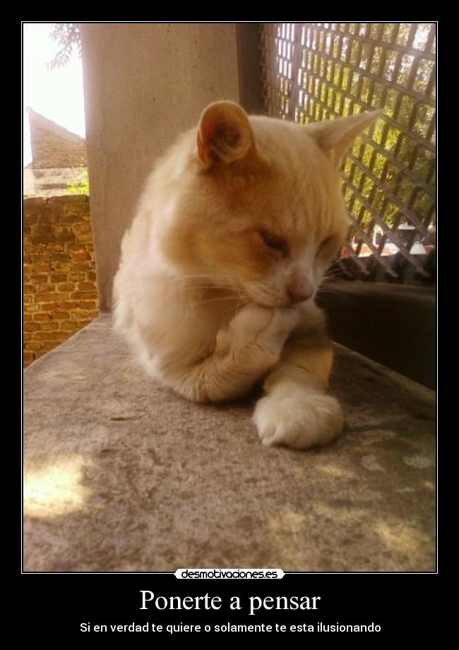 Ponerte a pensar - 
