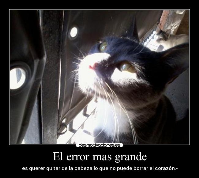 El error mas grande - 