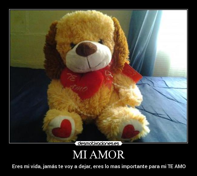 carteles amor daniela desmotivaciones