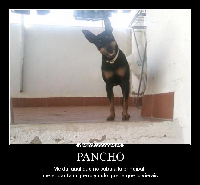 PANCHO -