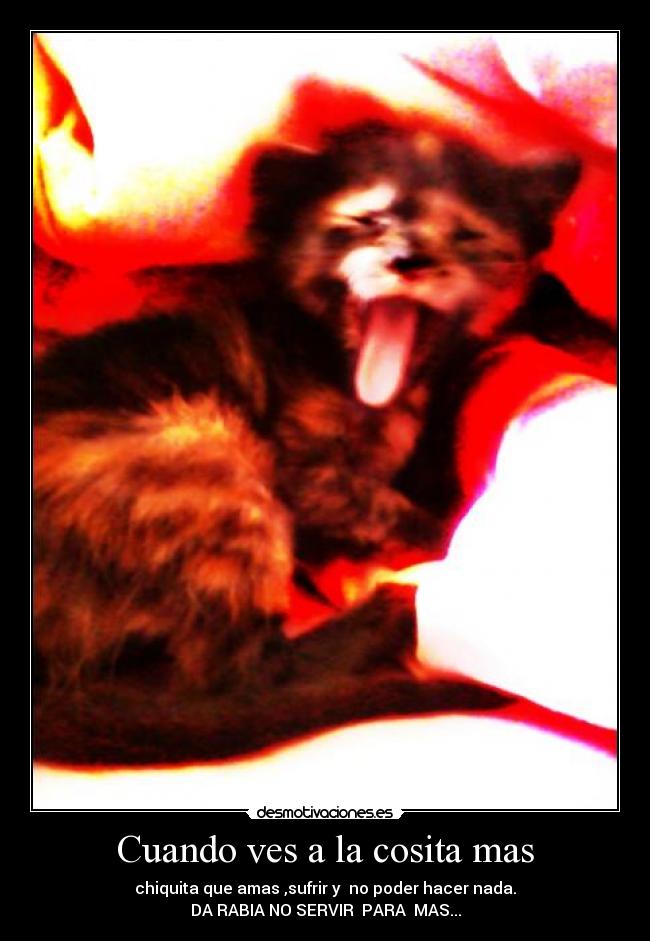 carteles minina desmotivaciones