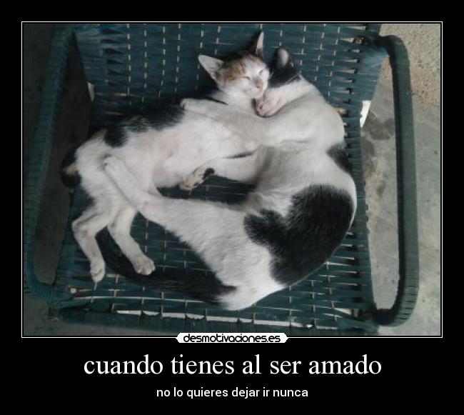 cuando tienes al ser amado -