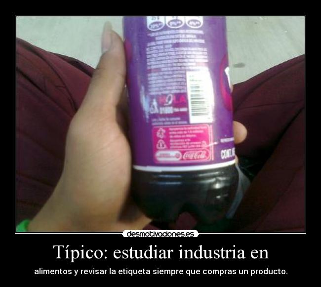 Típico: estudiar industria en -