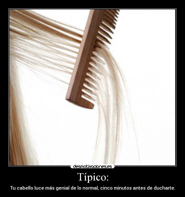 carteles tipico cabello cinco minutos genial ducharte desmotivaciones