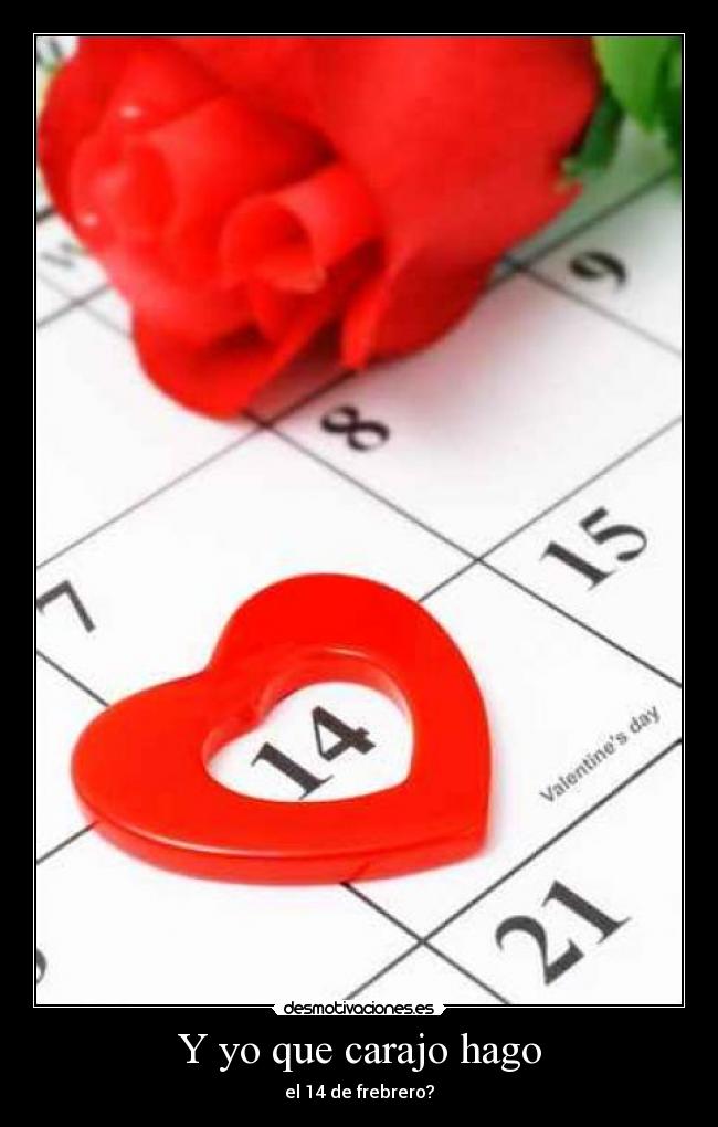 Y yo que carajo hago - 